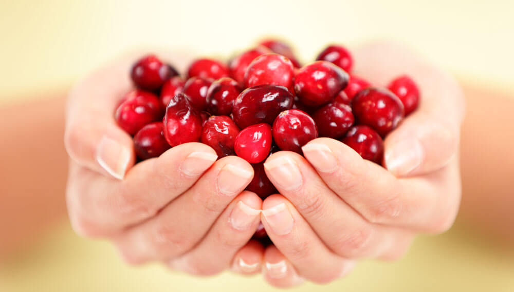 Hand picked cranberries